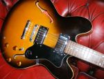 Epiphone dot&nbsp;&copy;&nbsp;2026&nbsp;Guitar Angel