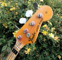 Fender Jazz bass 1973 refurb and body refinish in tru-oil&nbsp;&copy;&nbsp;2026&nbsp;Guitar Angel